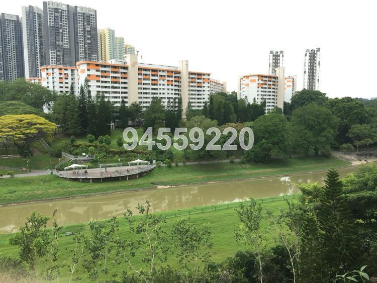Blk 336 Clementi Avenue 2 (Clementi), HDB 5 Rooms #115429352